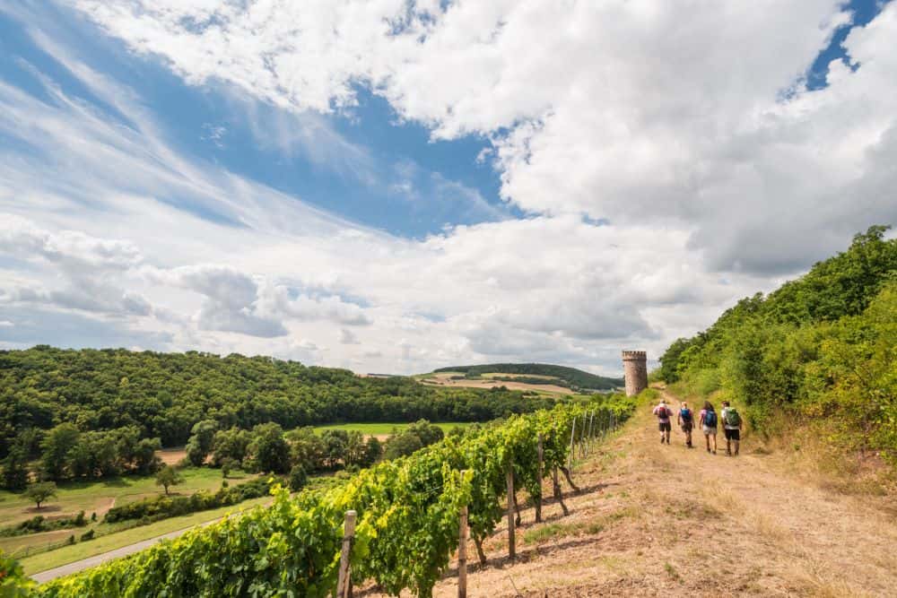 Pfalz-Mosel-Rheinhessen-Co-Die-besten-Wanderwege-in-der-Toskana-Deutschlands