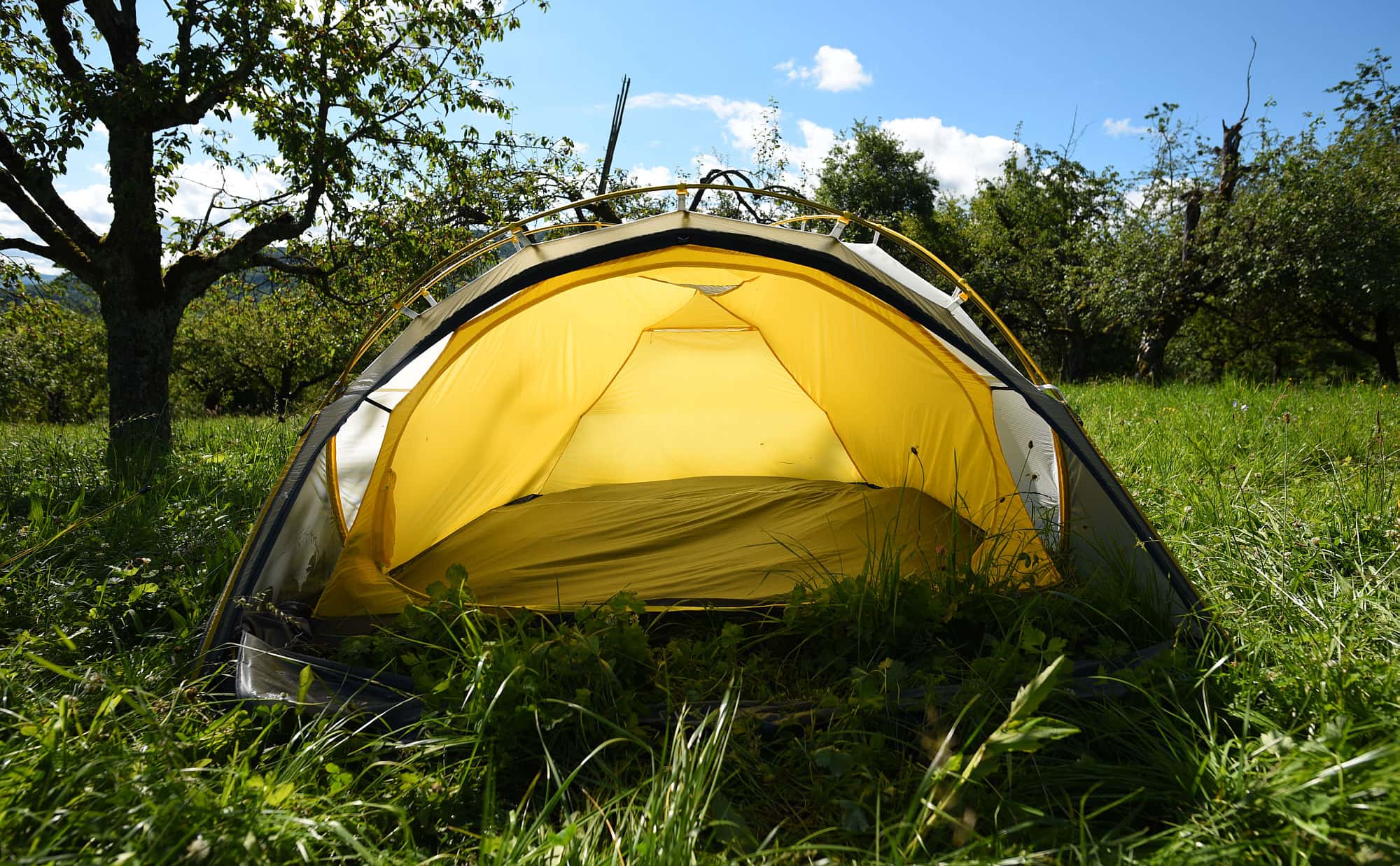 zelt outdoor test TentZing® 4x5m für 10 Personen Sand – Jetzt bestellen use-case:pain-relief Pop-Up Woods and Meadows Größe:New born (40-56 cm)
