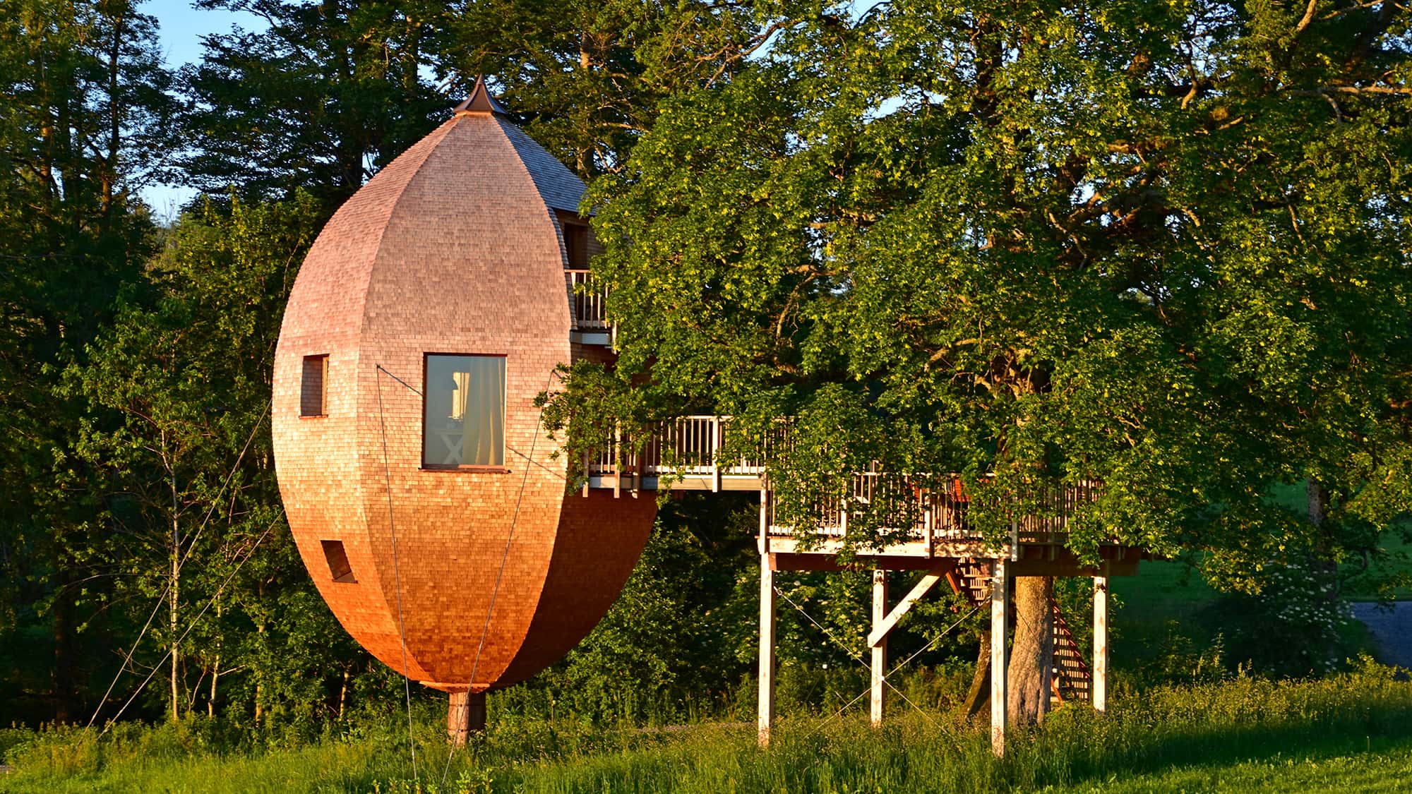Baumhaus-Gondel-Seecontainer-Ungew-hnlich-bernachten-in-Deutschland