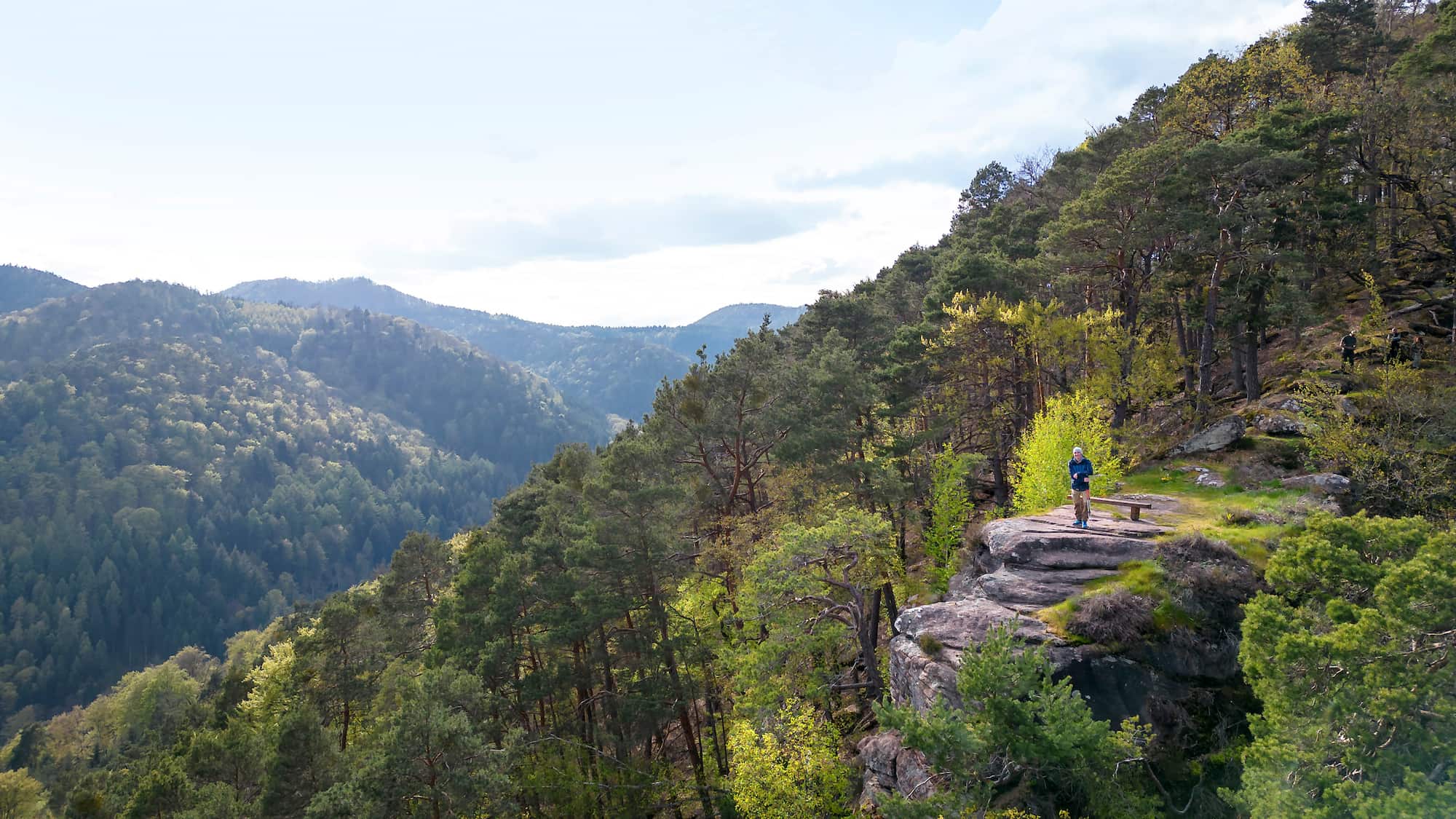 Burgen-Wein-und-Weitblicke-Diese-10-Wanderwege-in-Rheinland-Pfalz-sind-ein-Muss