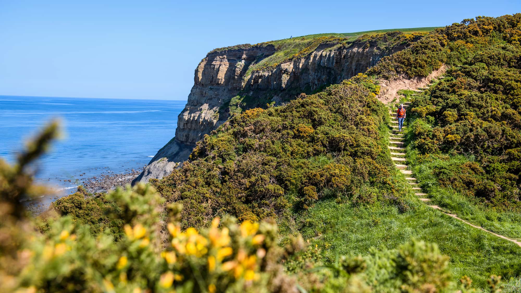 Wandern auf dem Cleveland Way in England