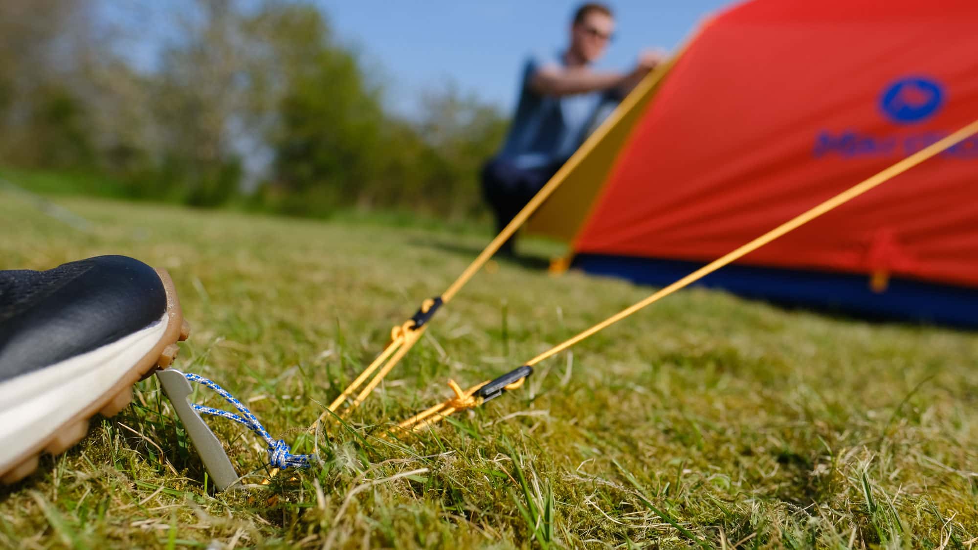 Hau-rein-Welchen-Hering-brauche-ich-