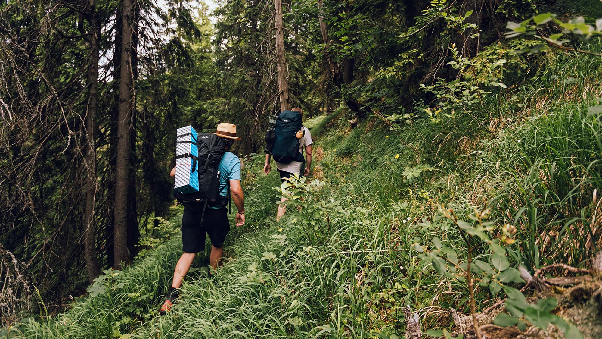 Endlich-abschalten-Das-slowakische-Fatra-Gebirge