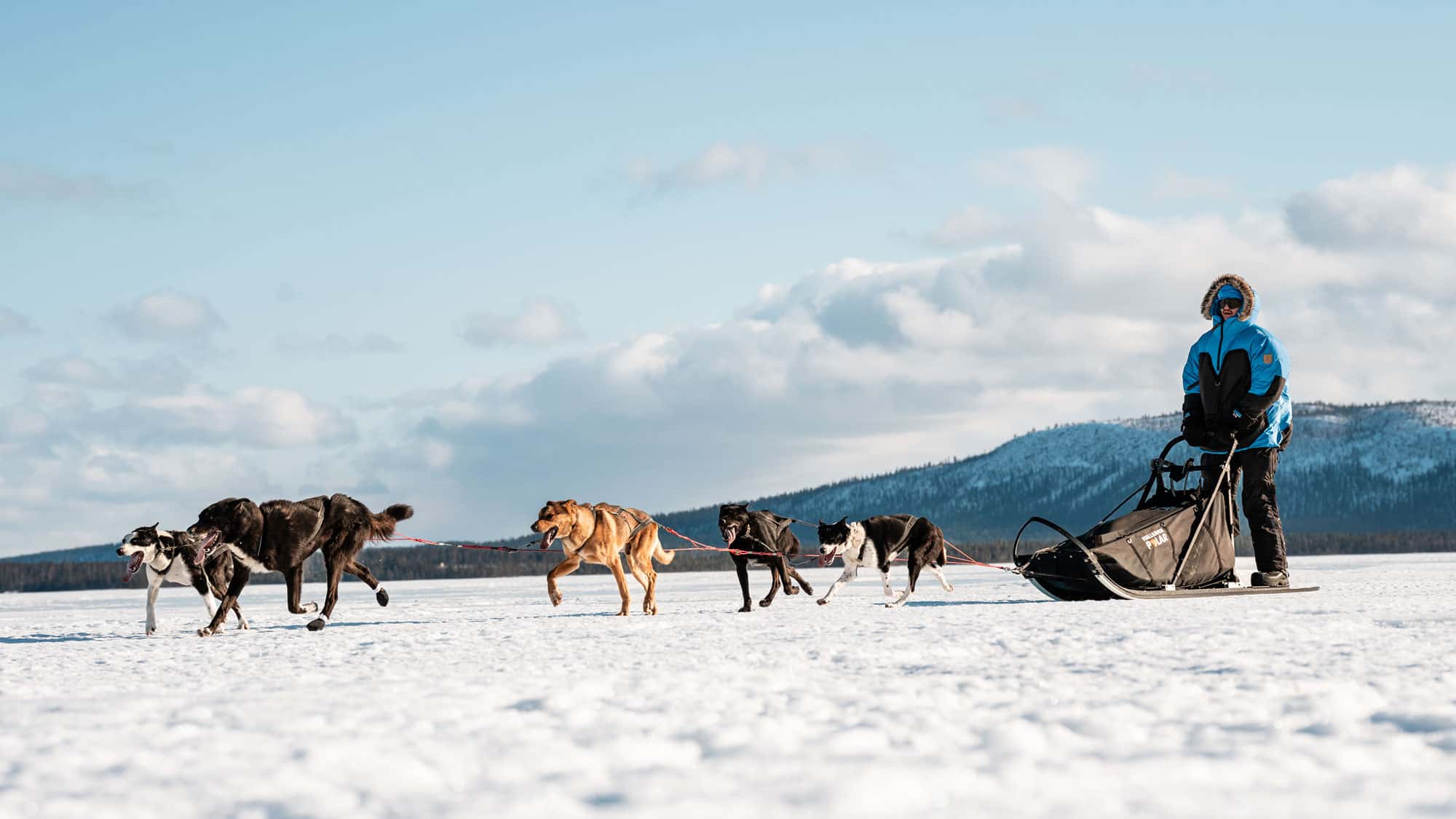 Fj-llr-ven-Polar-Das-Abenteuer-meines-Lebens-180-km-mit-Huskys-durch-die-Arktis