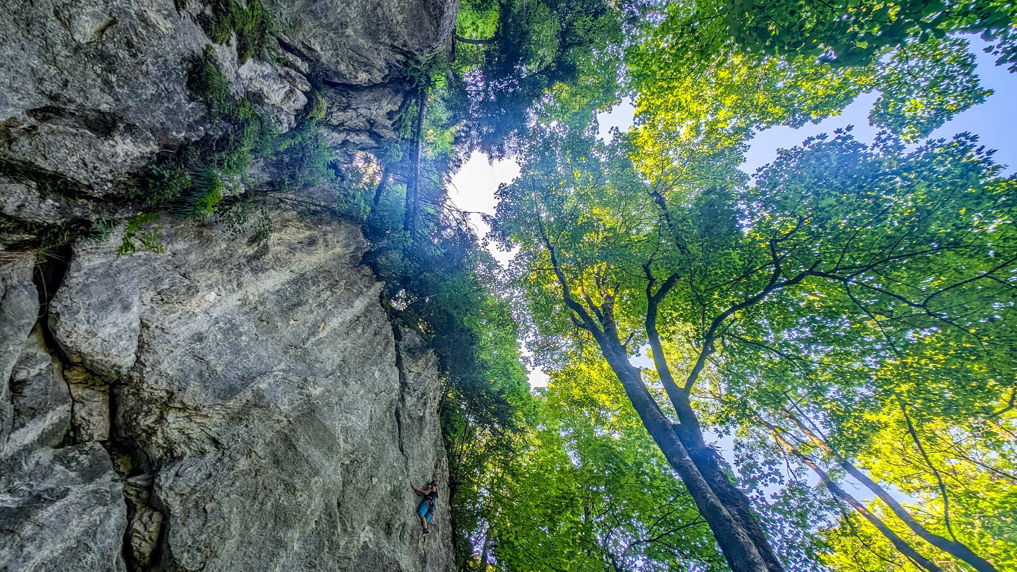 Frankenjura-Voralpen-Bayerischer-Wald-Klettern-im-S-dosten-Deutschlands