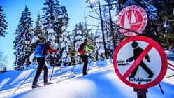 OD-1213-Fernskiwanderweg-Schwarzwald-c.lampe__MG_9428_100pc
