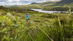 od-0118-schottland-glen-affric-jens-klatt-6 (jpg)