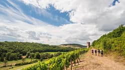 od-2016-rheinlandpfalz-rheinhessen-Hiwweltour Heideblick2 (jpg)