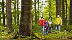 OD Abenteuer Geocaching: GPS-Schatzsuche im Wald