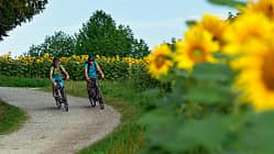 OD 0313 Radfahren Fahrrad radtouren radwanderwege frühjahr frühling