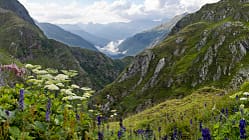 od-0418-graubuenden-maxi-special-16 (jpg)