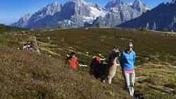 od-2014-lamatrekking-3 (jpg)