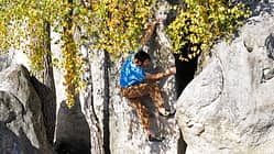 Fontainebleau Bouldern 95.2