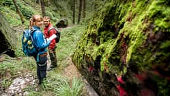 Wandern im Elbsandsteingebirge
