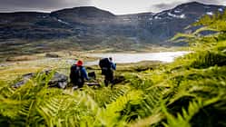 Outdoor-Destination Schweden