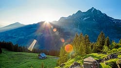 Adelboden: Bergpanorama mit Wald