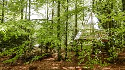 Baumhäuser Bad Herrenalb und Bad Teinach 