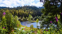 Baiersbronn - Schwarzwald - Deutschland