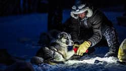 Finnmarksløpet in Norwegen