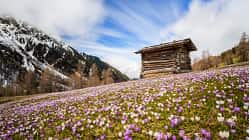 Südtirol Gsiesertal