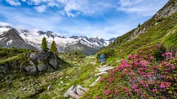 Berliner Höhenweg, Zillertaler Alpen
