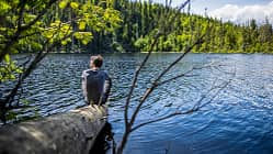 Waldbad am Prášilské-Sees im Böhmerwald, entlang der deutsch-tschechischen Grenze