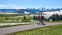 Mountainbiken im Allgäu - im Frühling