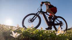 Preissteigerung E-Bike 2026 