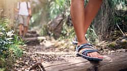 Familienwandern im Sommer mit Sandalen im Wald