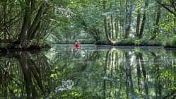 Paddeln in Mecklenburg Vorpommern