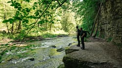 Schwarzwald Schluchtensteig