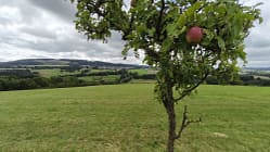 Nationalpark Hunsrück-Hochwald, Rheinland-Pfalz - Bloggerwandern 2025