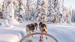 Skandinavien Reisen mit Nordic