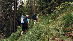 Wandern im slowakischen Fatra-Gebirge