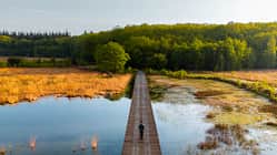 Niederlande Holland Nationalpark Natur Freizeit Urlaub Wandern Drentsche Aa