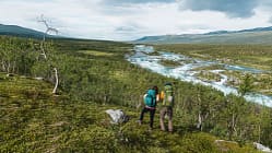 Treparksmötet, in der Wildnis Nordschwedens Treparksmötet, in der Wildnis Nordschwedens