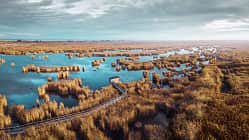 Neusiedler See Neusiedler See