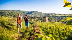 Advertorial Montagnes du Jura Juragebirge Ain Doubs Frankreich Sommer Wandern Radfahren Slow Tourism
Randonnée sur l'Echappée Jurassienne - Arbois Advertorial Montagnes du Jura Juragebirge Ain Doubs Frankreich Sommer Wandern Radfahren Slow Tourism
Randonnée sur l'Echappée Jurassienne - Arbois