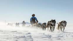 Fjällräven Polar 2027