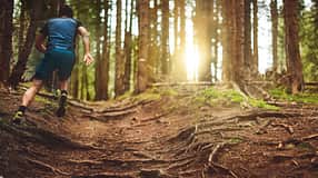 Trailrunning im Wald