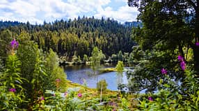 Baiersbronn - Schwarzwald - Deutschland