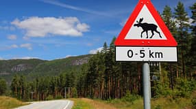 Elch-Schild in Setesdal, Norwegen