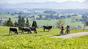 Tourenrad Allgäu