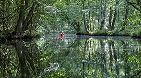 Paddeln in Mecklenburg Vorpommern