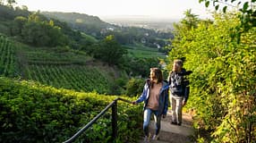 RebkulTour Radebeul in der Region Dresden Elbland, Deutschland