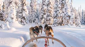 Skandinavien Reisen mit Nordic