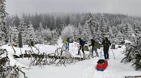 Wintertour im Bayerischen Wald un in Tschechien - Schneeschuhe - Pulka