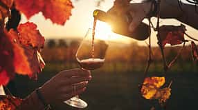 Burgenland Tourismus