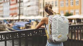 Osprey Transporter Travel Pack 36 