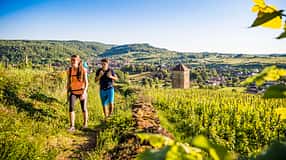 Advertorial Montagnes du Jura Juragebirge Ain Doubs Frankreich Sommer Wandern Radfahren Slow Tourism
Randonnée sur l'Echappée Jurassienne - Arbois